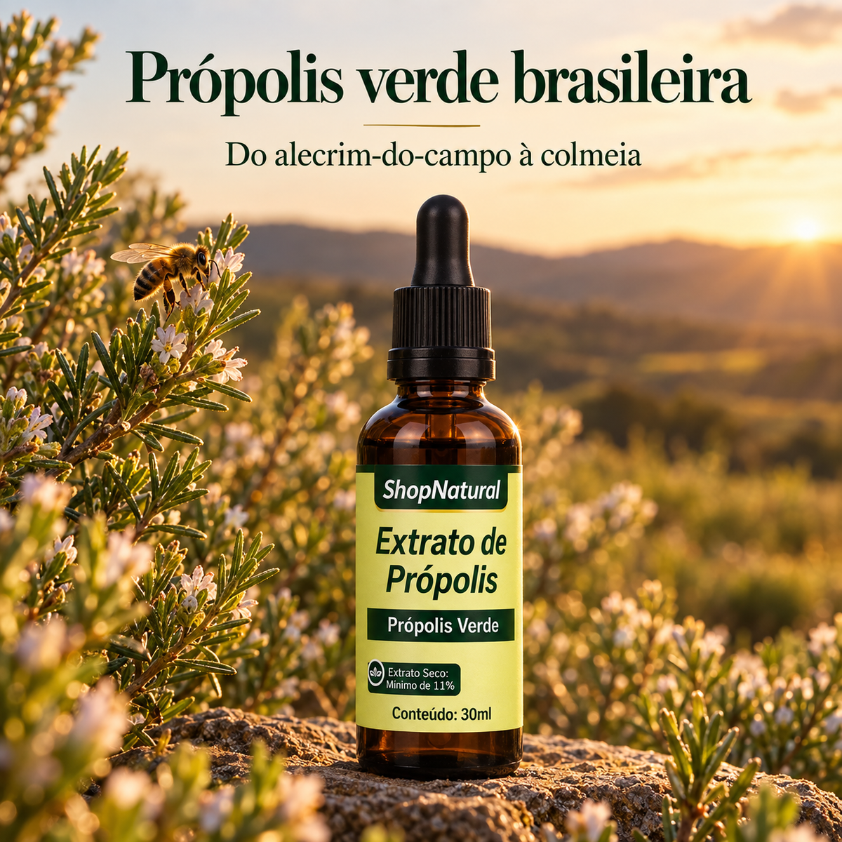 Própolis verde brasileira: do alecrim-do-campo à colmeia