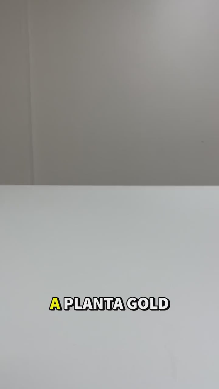 Vídeo: Planta Gold Psyllium Plantago Ovata 3,5g 30 Sachês Sabor Laranja